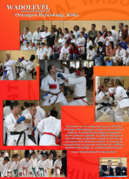 Országos Bajnokság Országos Bajnokság